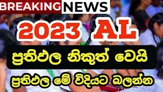 How to Check AL 2023 (2024) results | AL 2023 Results Issued