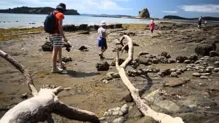 A walk to Pudding Island, Mahurangi Regional Park, auckland, New Zealand