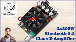 TPA3255 300W+300W Stereo Class-D Amplifier Board Review | Wuzhi Audio ZK-3002B