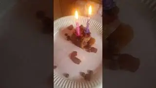Cutest moments with my cat part.9 and birthday special