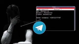 Я создал самый анонимный Telegram-аккаунт. Как меня не нашли за 4 года?