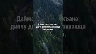 12. Даймахках лаьцна. ГIиллакхийн хазна – Ирсан некъаш
