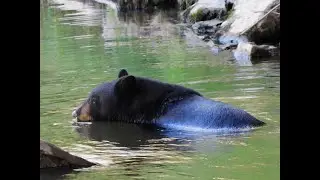 World Rivers Day 2022