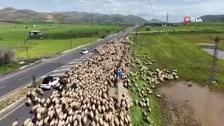 Göçerlerin zorlu yolculuğu dronla görüntülendi