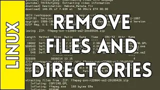 Removing Files and Directories - Introduction to Linux for Absolute Beginners (2016)