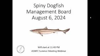 Spiny Dogfish Board Proceedings August 2024