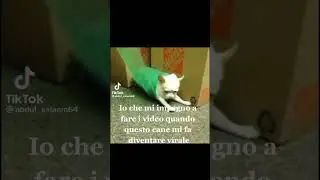 😅😅😅😅