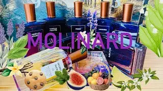 This great French house is so underrated! Quick review of 9 Molinard perfumes from my collection.
