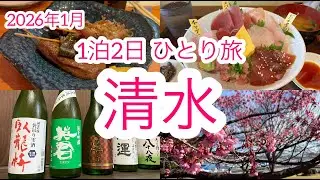 【清水】静岡・清水の酒とグルメ | 1泊2日 | 臥龍梅 |マグロ丼 | 静岡おでん | ひとり旅