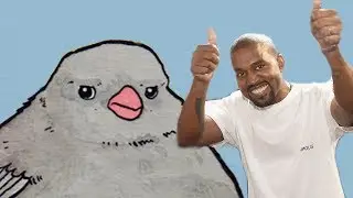 Feel the caw