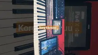 korg pa 4x kayuuuu ..