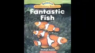 Fantastic Fish Read Aloud