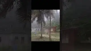 Hurricane Beryl Attacks 😱