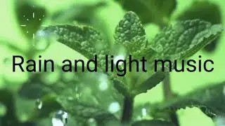 Relaxing Rain Sound, Meditation, Deep Sleep, Relaxing