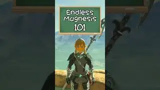 Endless Magnesis 101 | Breath of the Wild Glitches