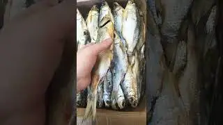 Астраханская Вобла