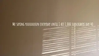 Me saying yuuuuuuun everyday until I hit 1,000 subscribers day 40