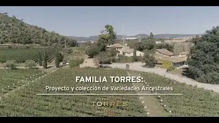 PROYECTO Y COLECCIÓN DE VARIEDADES ANCESTRALES