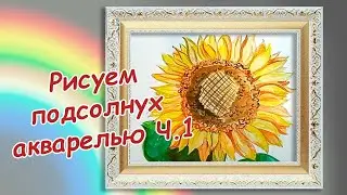 Рисуем подсолнух акварелью Ч1