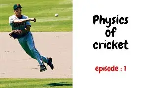 Physics of cricket