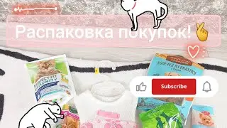 Распаковка покупок из бк! #распаковка #котики #собачки #ася #дарвин #пухлыйкотик #котикблогер