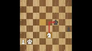 Avoid knight checks in Chess endgames