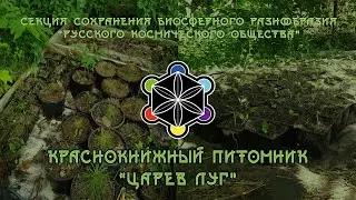 Посадили 800 саженцев! Краснокнижный питомник 