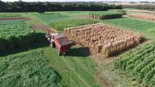 Harvest of green biomass