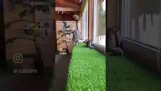 Всё как у людей)) 