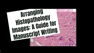 Arranging Histopathology Images: A Guide for Manuscript Writing