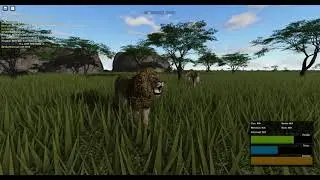 Roblox Testing A Day/night Cycle Update!