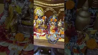 ଗୁରୁବାର ପୂଜା //Mini Vlog @annieeansh