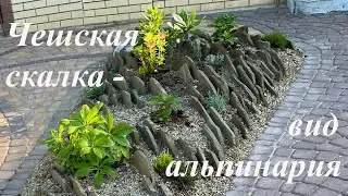 Чешская скалка на нашем участке!
