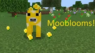 Minecraft - How to Make Mooblooms! | NinjaHamsters