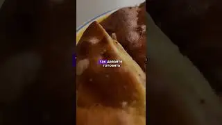11 августа 2024 г.