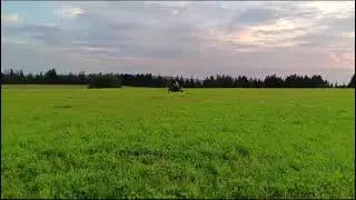 Победитель розыгрыша, который проходил 6 июля поделился с нами видео🔥