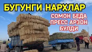 18.08.2024 БУГДОЙ АРПА МАККА ЕМ ХАШАК СОМОН БЕДА ПРЕСС НАРХЛАРИ КАРШИ КАРВОН МОЛ БОЗОРИДА