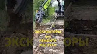25 марта 2024 г.
