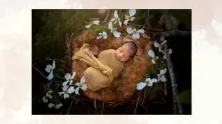 NicCole Photography Newborn Babies