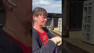 Выпускаем птенца 🐦‍⬛