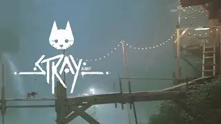 ОН БЫЛ ЧЕЛОВЕКОМ ► Stray #6