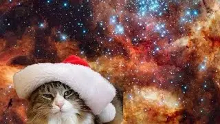 Christmas Battle: RuNW vs RED