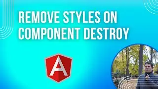 Angular -  Remove styles on component destroy.
