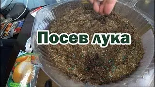 Посев разного вида лука