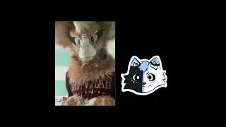 Rating Your Fursonas!