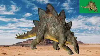 Jurassic Dinosaur  Kentrosaurus Green Screen Blue Screen Best HD Dinosaur Animal  Green Screen Video