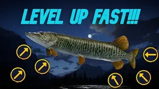 Call of The Wild The Angler Beginners Leveling Guide