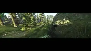 Sleeping in a bush