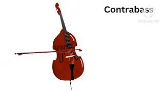 Strings