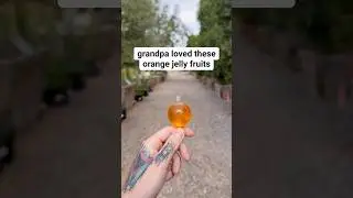 Giving Grandpa Orange 🍊